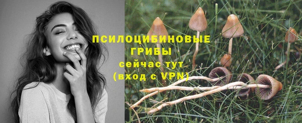 jwh Богородицк